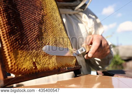 Senior Beekeeper Uncapping Honeycomb Frame With Knife At Table Outdoors, Closeup