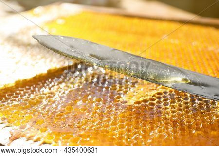 Uncapped Honey Cells With Knife, Closeup View