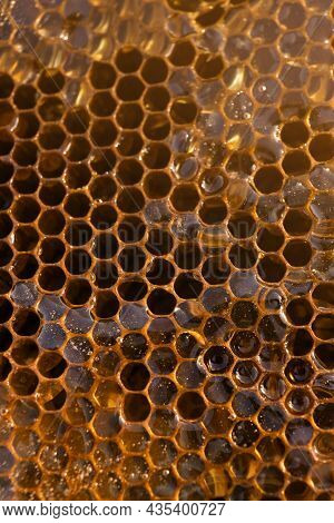 Uncapped Filled Honeycomb As Background, Closeup View