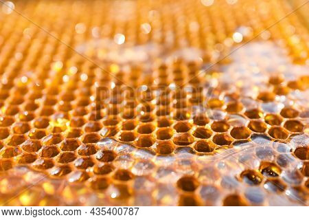 Uncapped Filled Honeycomb As Background, Closeup View