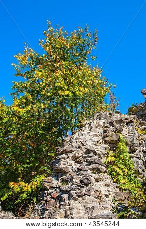 Mur d'un vieux château