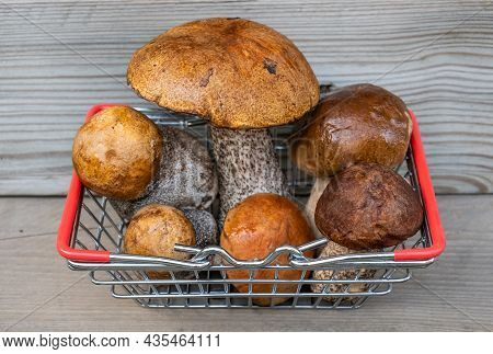 Autumn Cep Mushrooms With Brown Cap.