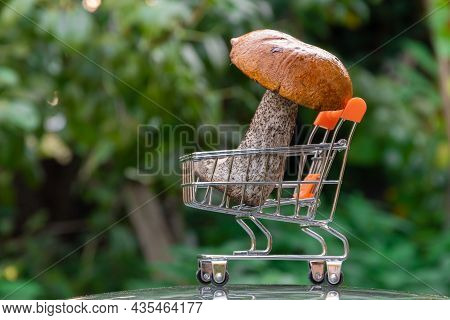 Autumn Cep Mushrooms With Brown Cap. Boletus Edulis In Metallic Shopping Basket. Concept Cooking Del