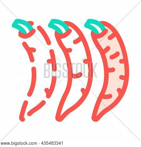 Low Pepper Food Taste Color Icon Vector. Low Pepper Food Taste Sign. Isolated Symbol Illustration
