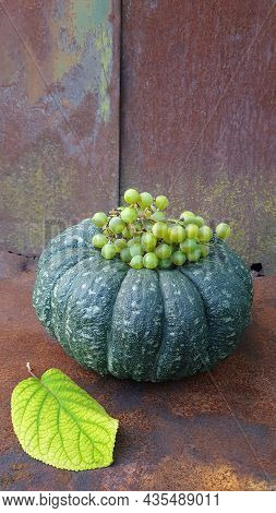 Green Pumpkin With Grapes, Hydrangea Leaf On The Background Of An Old Tin