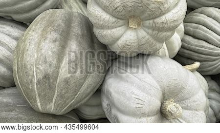 Close Up Winter Squash In Market Stall