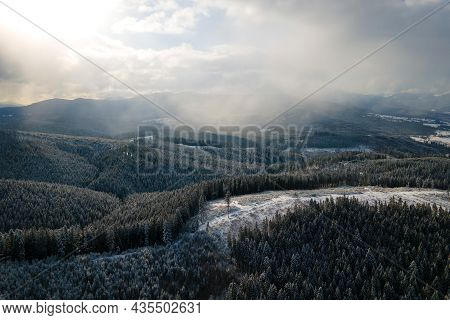 Winter Landscape With Spruse Trees Of Snow Covered Forest In Cold Mountains.