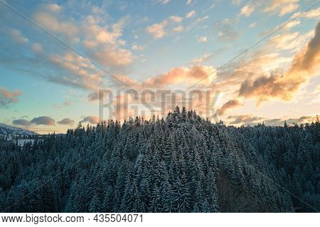 Aerial Winter Landscape With Spruse Trees Of Snow Covered Forest In Cold Mountains In The Evening.