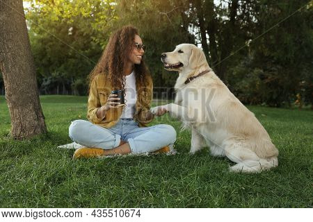 Young African-american Woman And Her Golden Retriever Dog On Green Grass In Park