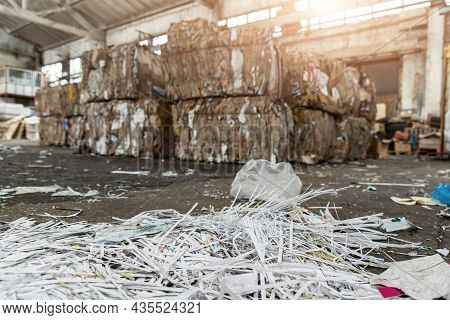Dump Pile Of Used Shreded Paper Wrap And Document Against Bales Of Compressed Cardboard Collected Fo