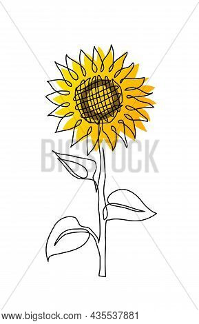 Single Sunflower Simple Vector Line Illustration. One Line Art Drawing Of Sunflower