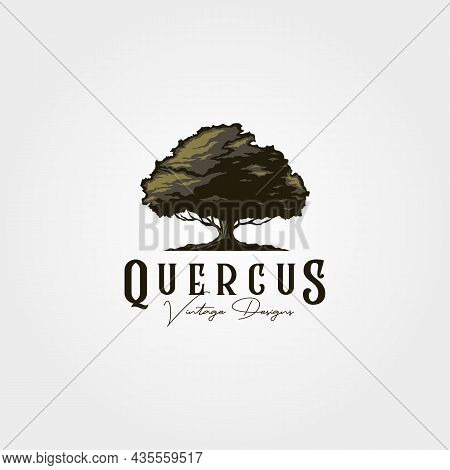 Vintage Oak Tree Logo Vector Illustration Design