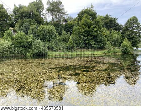 Picturesque Small Mountain Accumulation Lake Mrzla Vodica - Gorski Kotar, Croatia (slikovito Malo Go