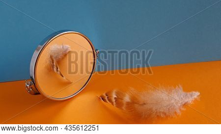 Bird Feather And Its Reflection On Orange And Blue Background