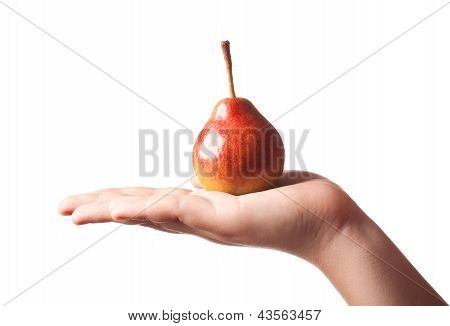 Pear On Hand Isolated On White Background