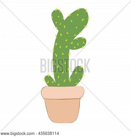 Vector Cactus . Exotic Plants. Decorative Natural Elements Isolated On White.