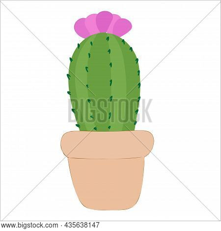 Vector Cactus . Exotic Plants. Decorative Natural Elements Isolated On White.