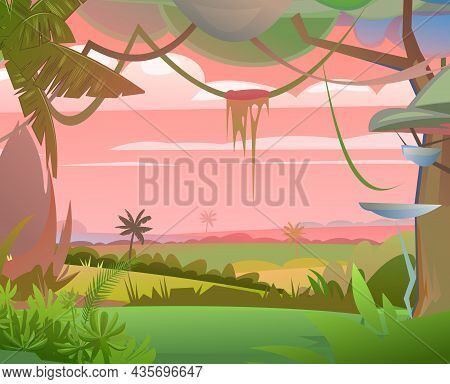Jungle Plants. Flora Landscape. Dense Thickets. Morning Sunrise Dawn Or Evening Sunset. View From Tr