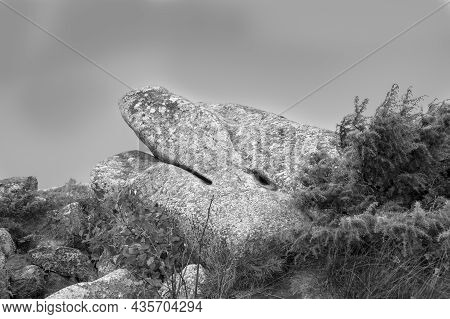 Scenic Rocks Like A Sleeping Lion Or Sleeping Giant At The Summit Of Tne Mountain Petit Balloon In T