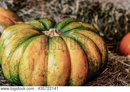 Base Ribbed Vegetable Ripe Large Pumpkin Rural Design On A Background Of Beige Hay