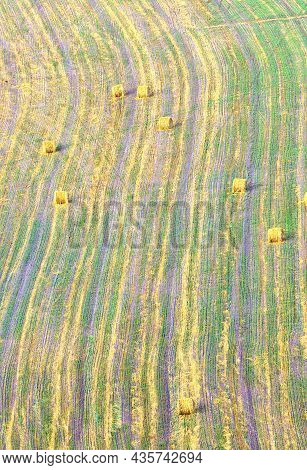 . Furrows In An Agricultural Field, A Background Image From The Air. Siberia, Russia