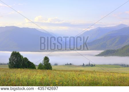 A Green Meadow Against The Background Of Blue Mountains Under The Morning Sky. Siberia, Russia