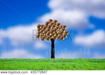 Golden Bitcoin Crypto Currency Plant Tree With Green Grass, Blur Blue Sky And Data Trade, Candlestic