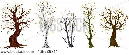 Set Of Different Autumn Trees Painted By Watercolor