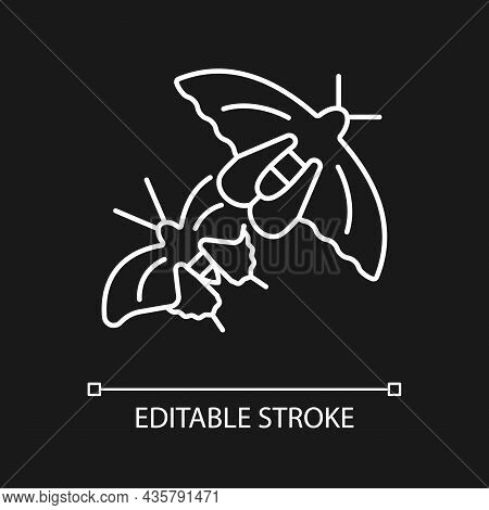 Butterflies Of Singapore White Linear Icon For Dark Theme. National Insect. Asian Butterfly Species.