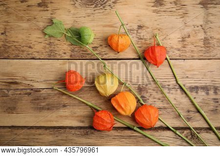 Physalis Branches With Colorful Sepals On Wooden Table, Flat Lay