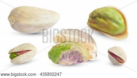 Vector Pistachios Nuts And Dry Shell. Realistic 3d Kernel. Salted Pistachio Isolated On White Backgr