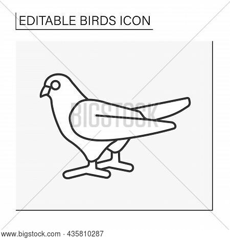 Dove Line Icon.stocky Bird With Small Head, Short Legs, And Cooing Voice. Symbol Of Peace.birds Conc