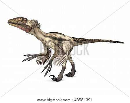 Dinosauro Deinonychus