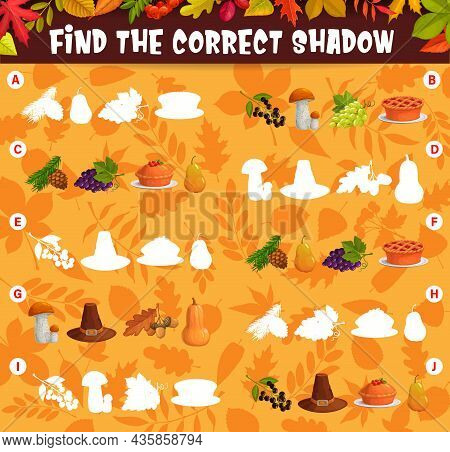 Find The Correct Shadow Of Thanksgiving Harvest And Autumn Leaves Kids Matching Game. Children Logic