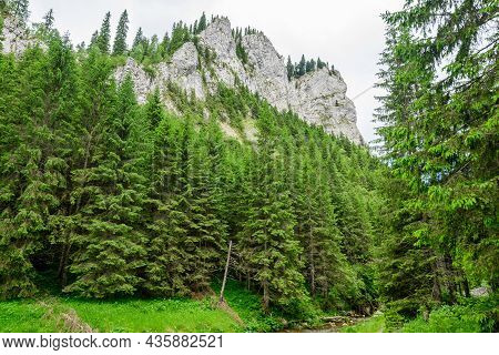 Scenic View From Zanoagei Gorges (cheile Zanoagei)  In The Natural Park From Bucegi Mountains (munti