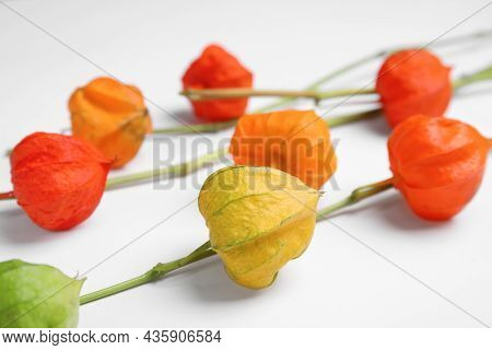 Physalis Branches With Colorful Sepals On White Background, Closeup