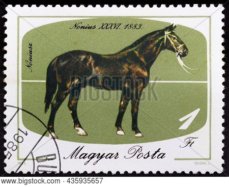 Hungary - Circa 1985: Postage Stamp 'nonius-36, 1883 Or Equus Ferus Caballus' Printed In Hungary. Se