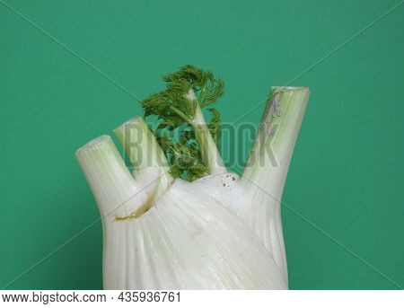 Fennel Vegetables Food