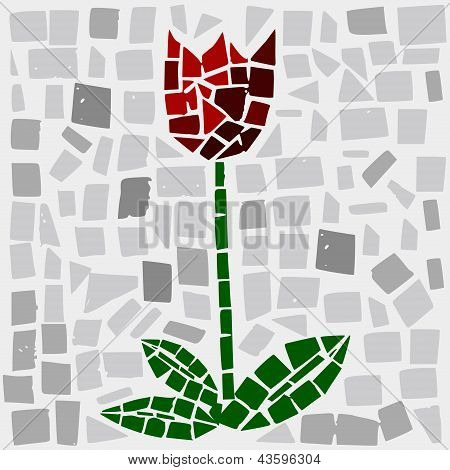 Tulip
