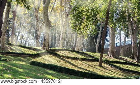 Park Gulhane, Beautiful Ancient Park With Tall Trees In Old Centre Of Istanbul, Turkey.