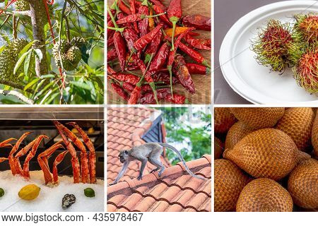 Set Of Asia Rambutan Fruit Set, Snake Fruit, Chili Pepper And Crab Phalanx, Macaque And White Buddhi