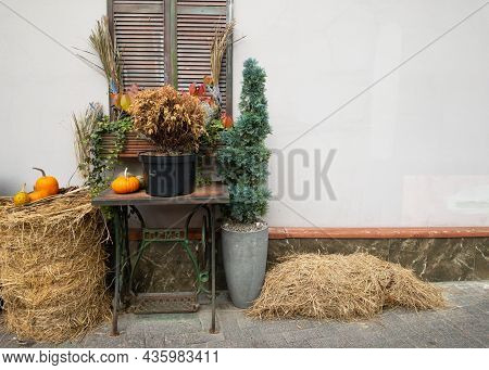 Moscow, Russia 10 12 2021 Pumpkins And Autumn Leaves, Symbol Of Autumn Harvest, Thanksgiving, Mabon 