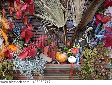 Pumpkins And Autumn Leaves, Symbol Of Autumn Harvest, Thanksgiving, Mabon Sabbat And Halloween Holid