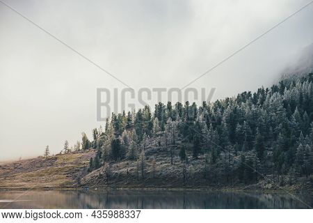 Bleak Autumn Landscape With Mountain Lake And Coniferous Forest With Trees In Hoarfrost On Hillside 