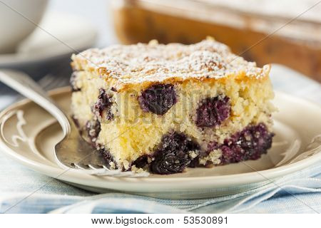 Homemade Blueberrry Coffee Cake