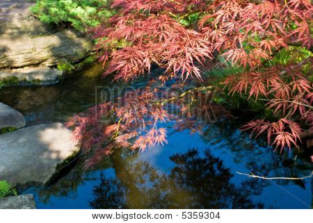 日本の伝統的な庭園で京都