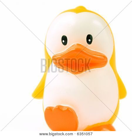 Kachna