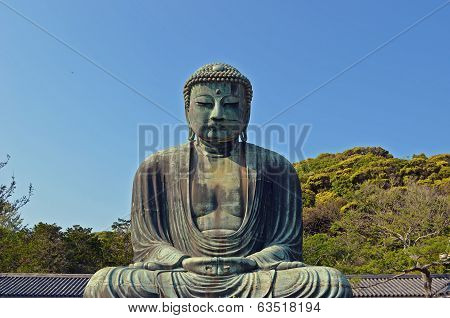 Great Buddha of Kamakura