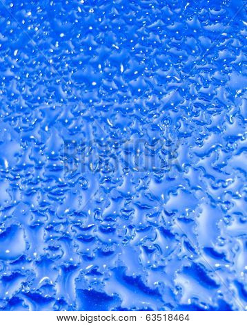 Morning Dew On The Bottle