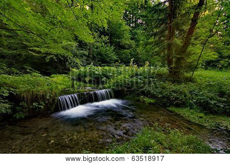 Water falling over the cascades in a forest